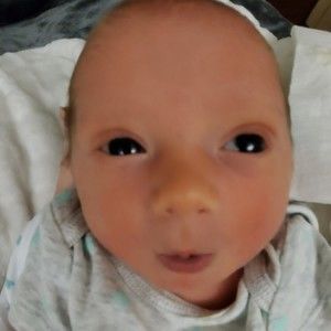 Meet your Posher, Posh